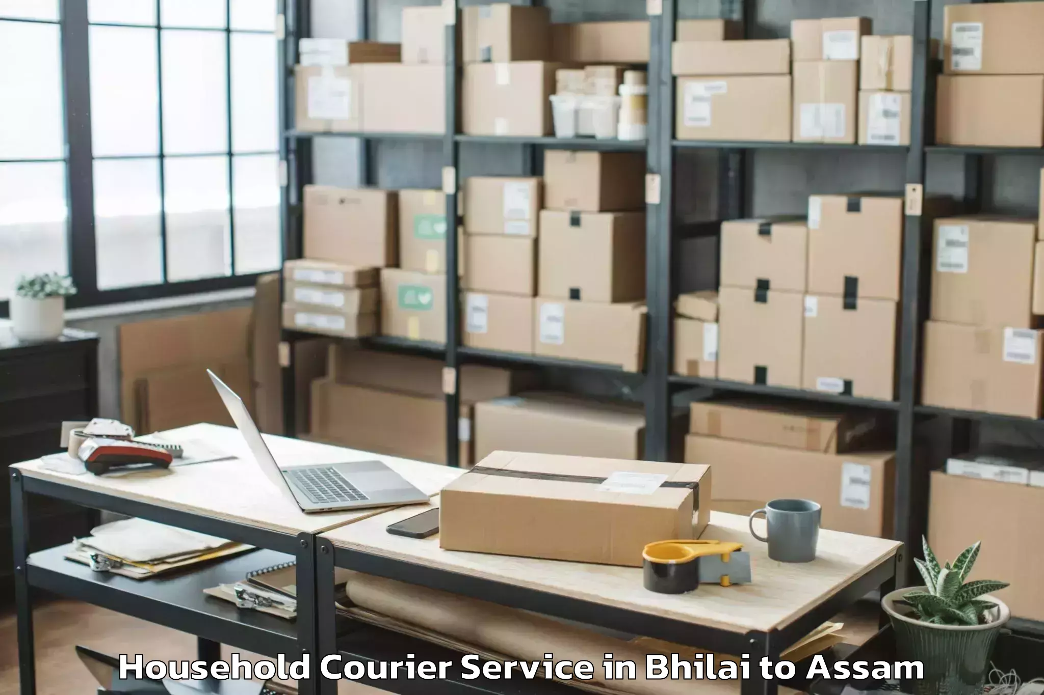 Quality Bhilai to Silapathar Household Courier